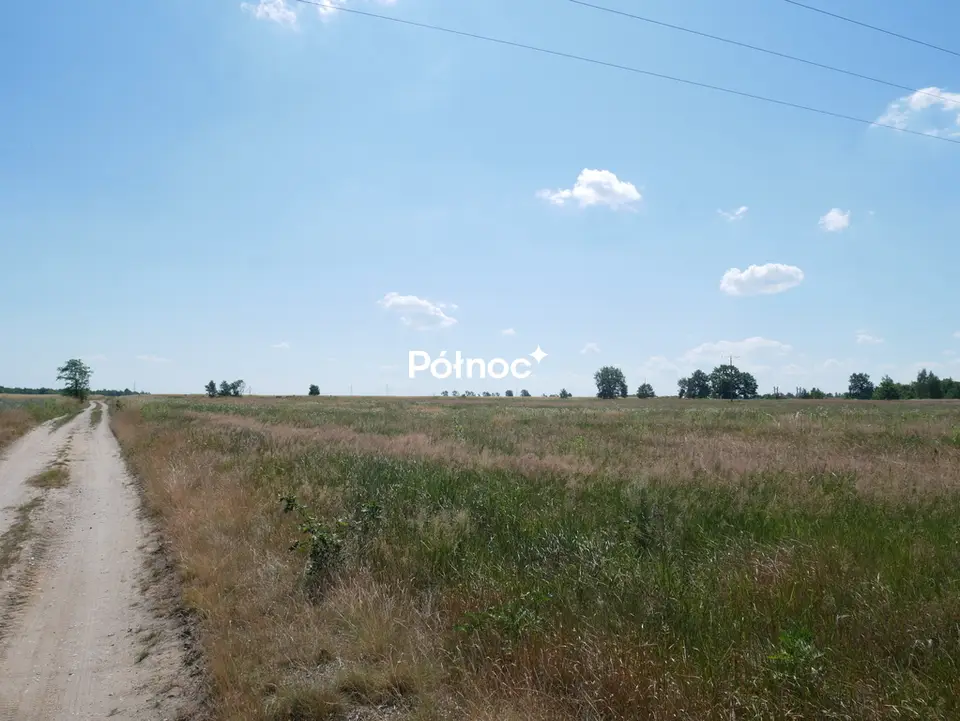 Zdjęcie 9