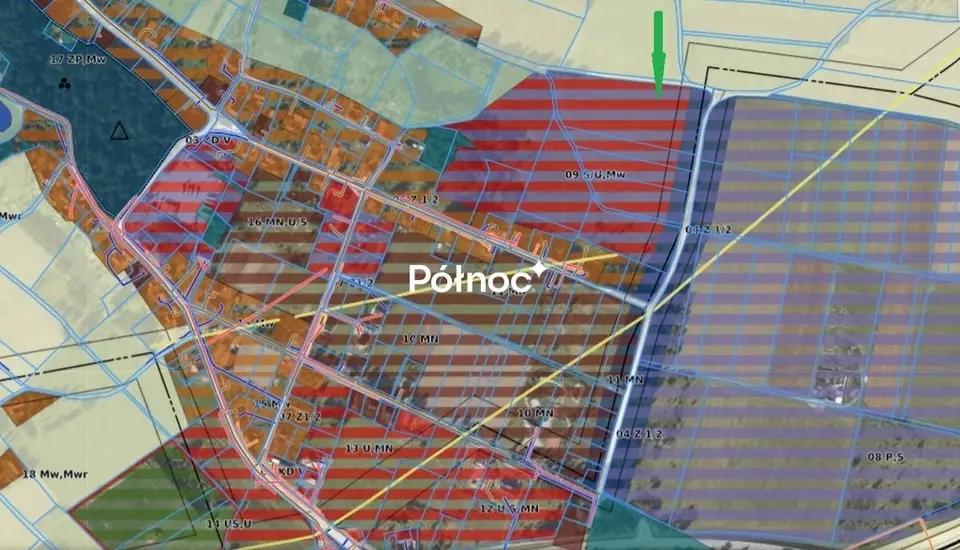 Zdjęcie 11