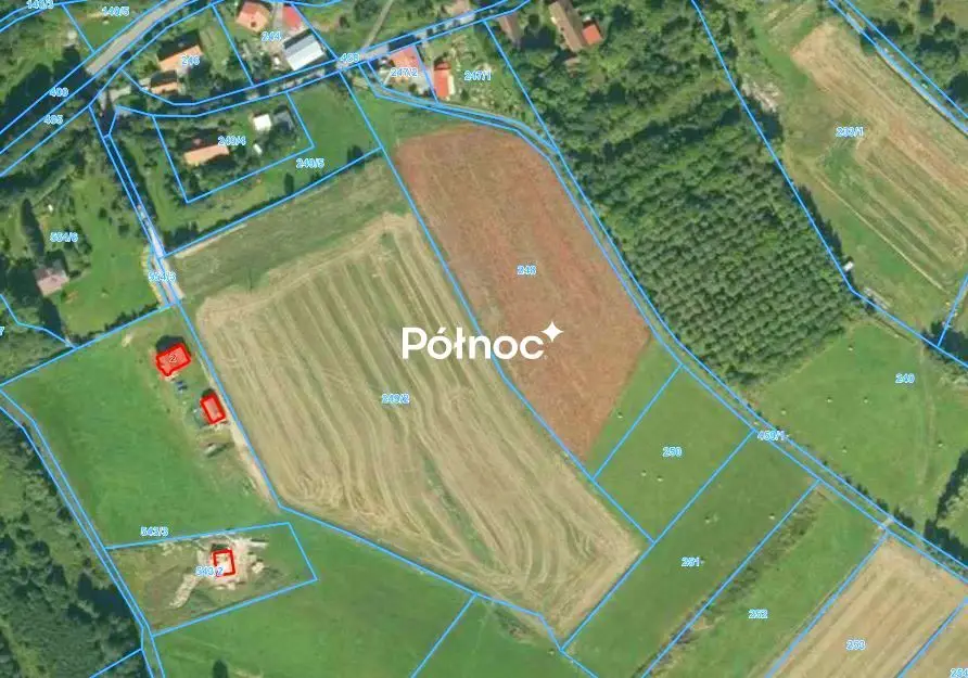 Zdjęcie 6