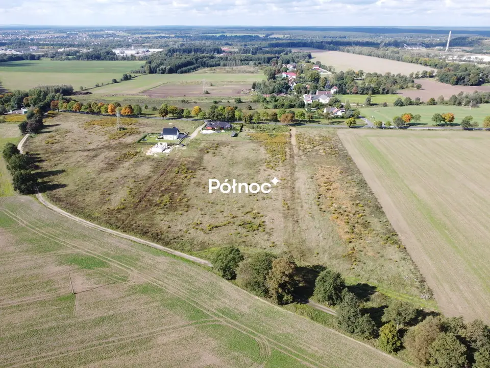 Zdjęcie 5