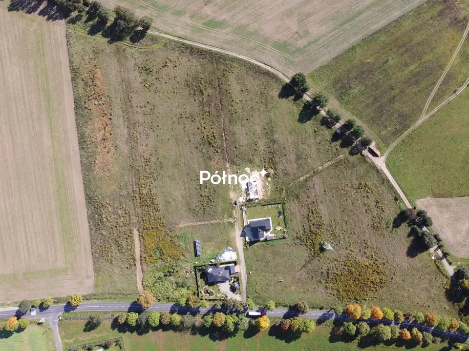 Zdjęcie 8