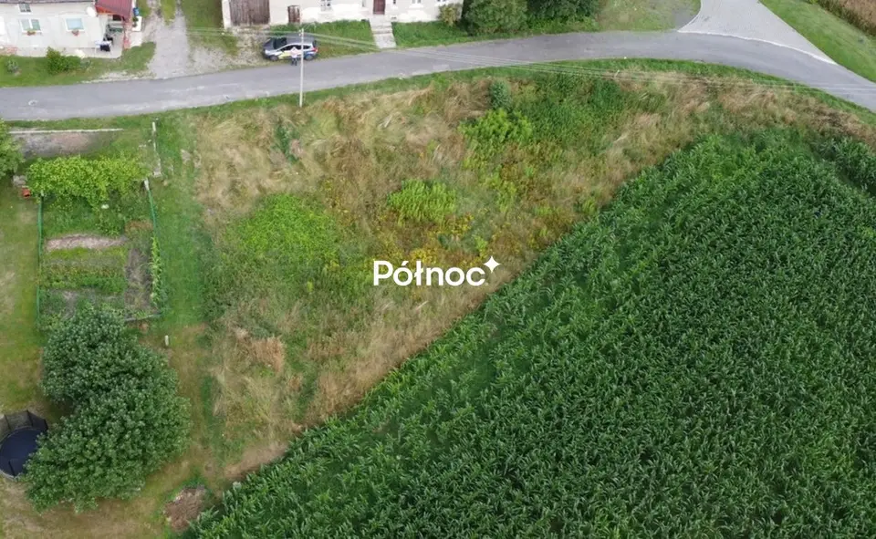 Zdjęcie 2