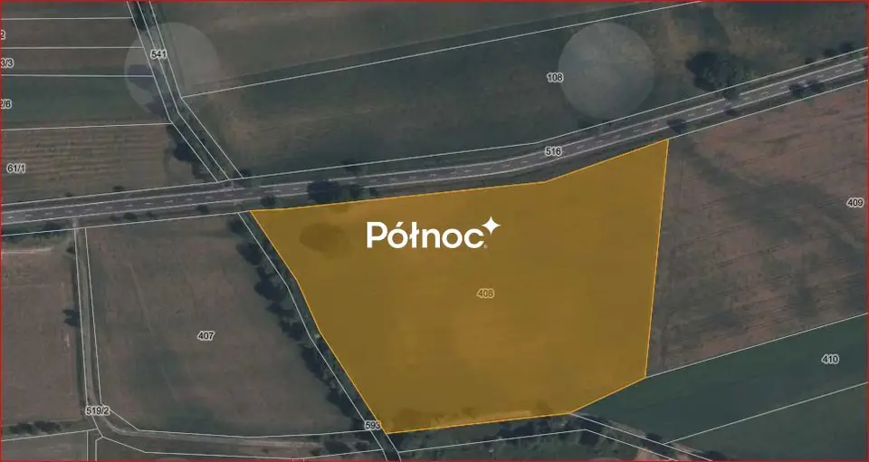 Zdjęcie 8