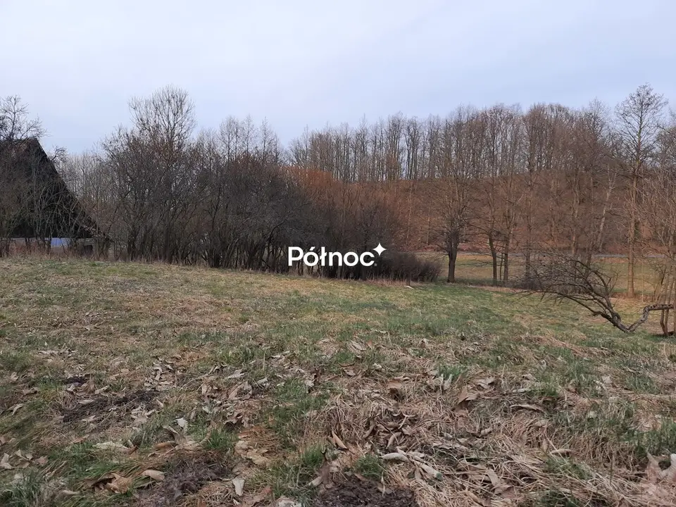 Zdjęcie 5