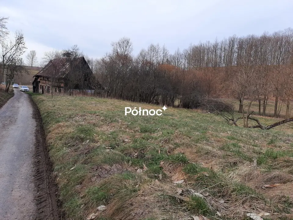 Zdjęcie 3