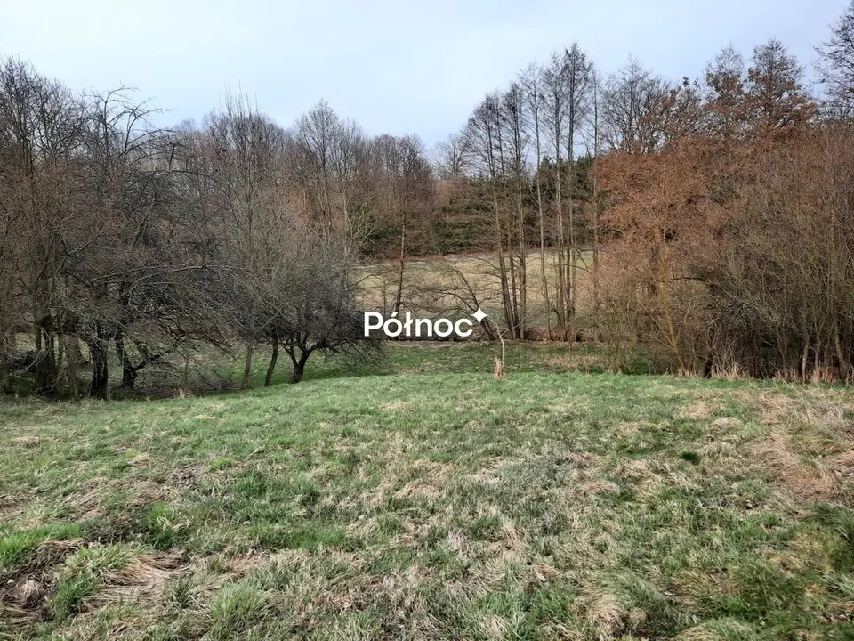 Zdjęcie 4
