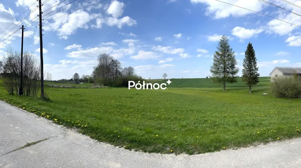 Zdjęcie 3