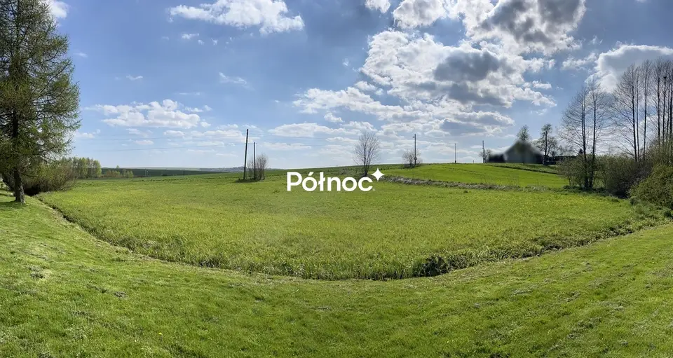 Zdjęcie 6
