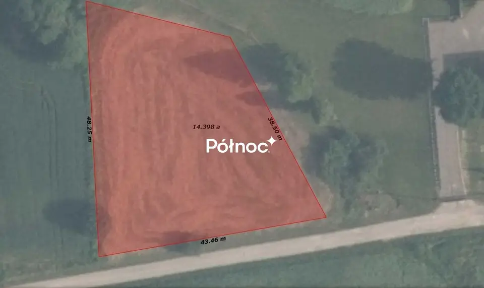 Zdjęcie 8