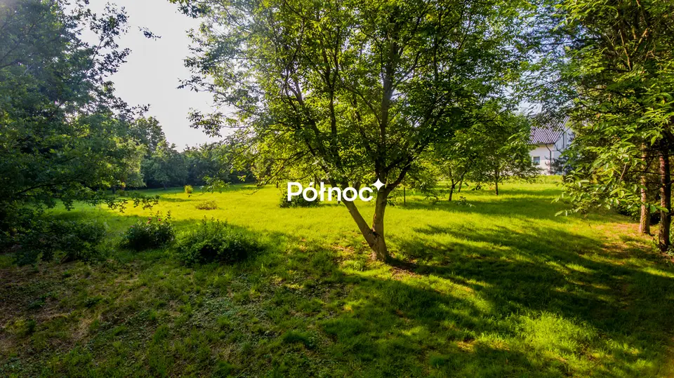 Zdjęcie 2