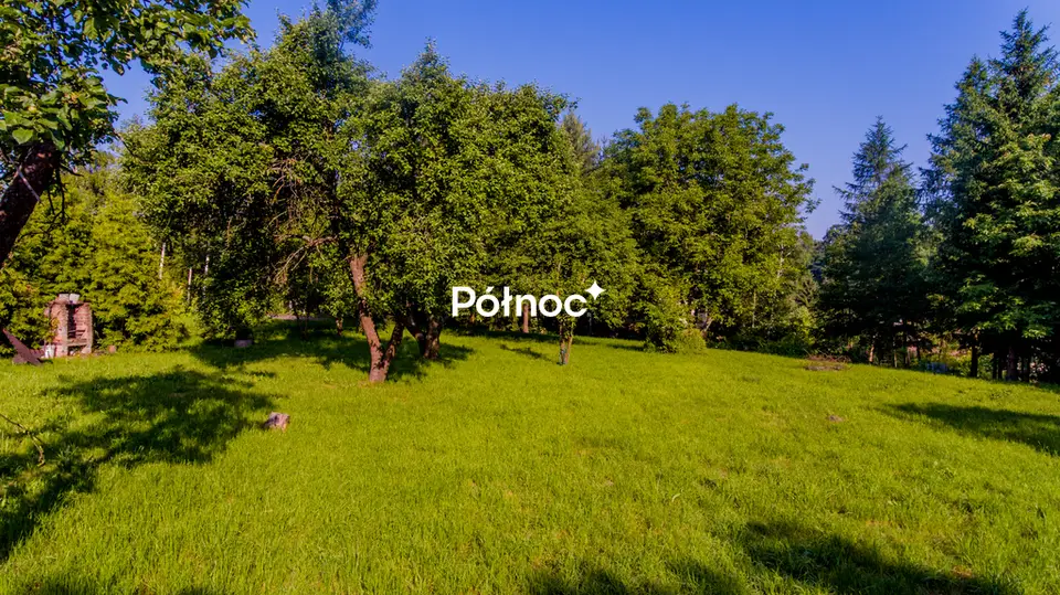 Zdjęcie 4