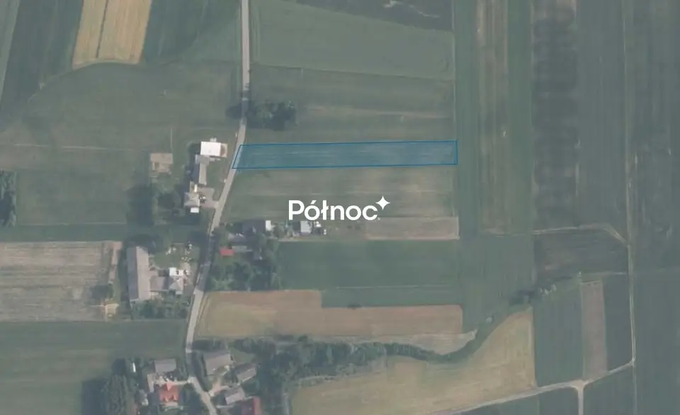 Zdjęcie 3