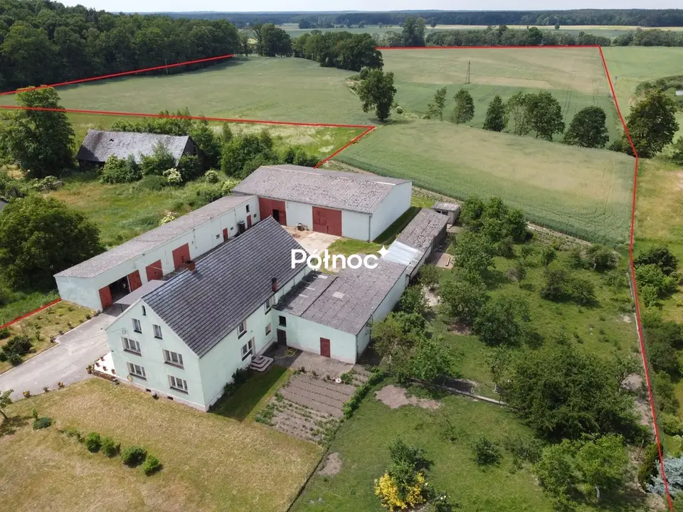 Działka budowlana 1 ha, Golnice