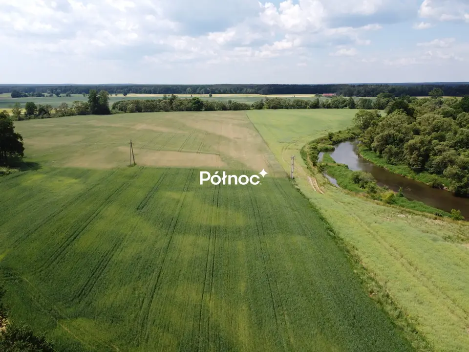 Zdjęcie 4