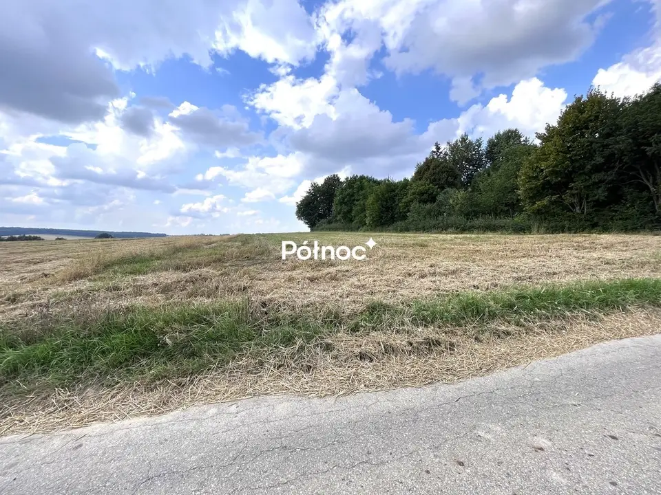 Zdjęcie 2