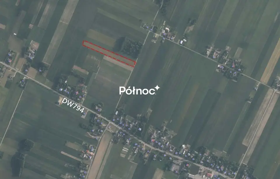 Zdjęcie 3