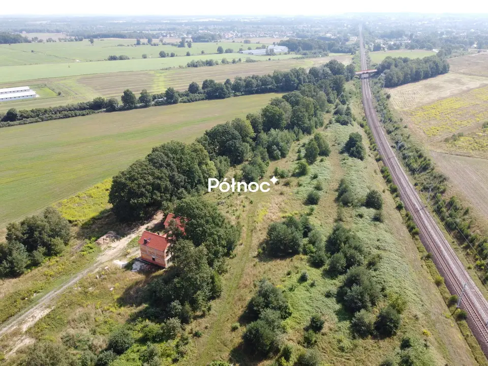 Zdjęcie 5