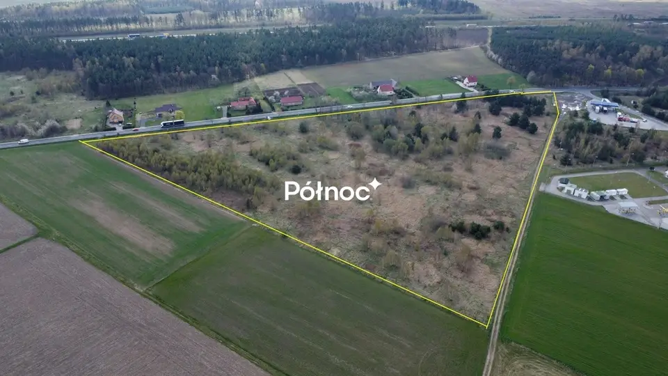 Zdjęcie 4