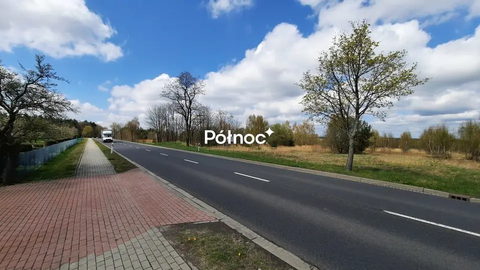 Zdjęcie 6