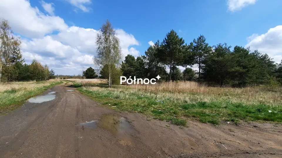 Zdjęcie 8