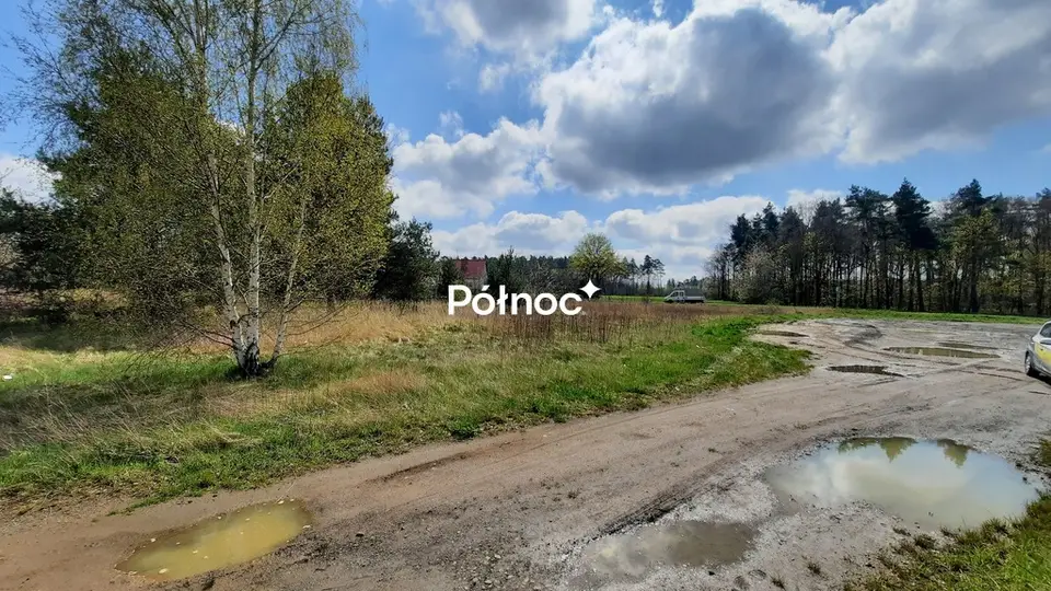 Zdjęcie 9
