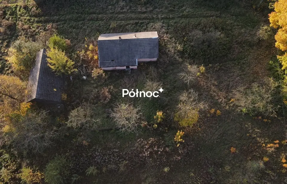 Zdjęcie 4