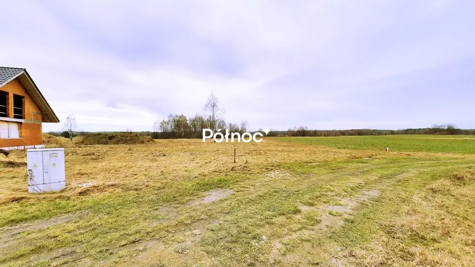 Zdjęcie 3