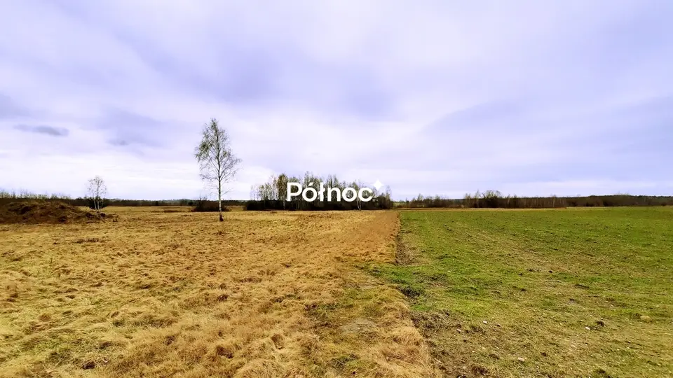 Zdjęcie 4