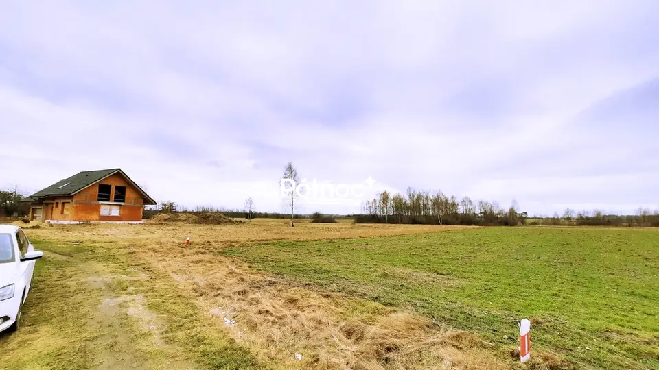Zdjęcie 6
