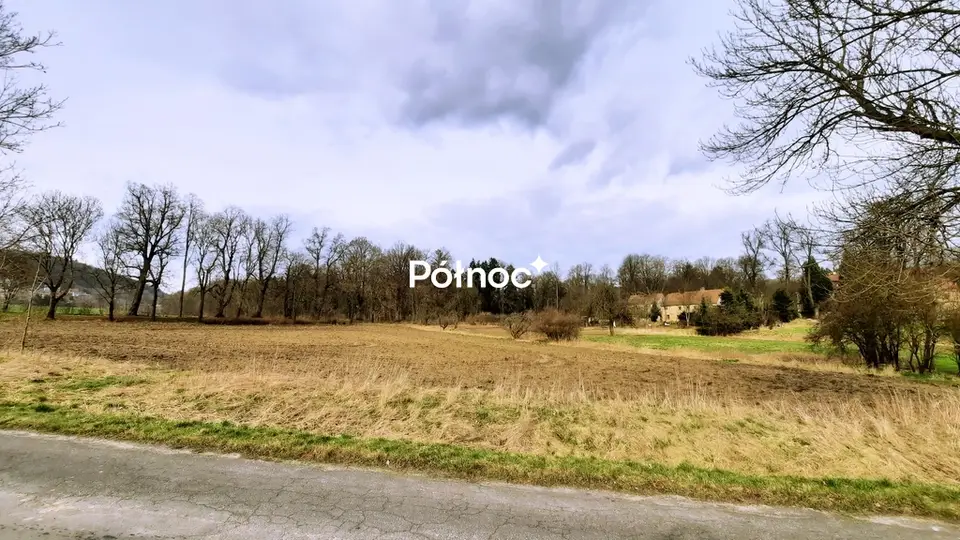Zdjęcie 8