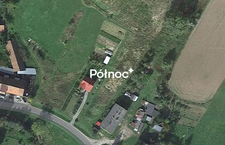 Zdjęcie 3