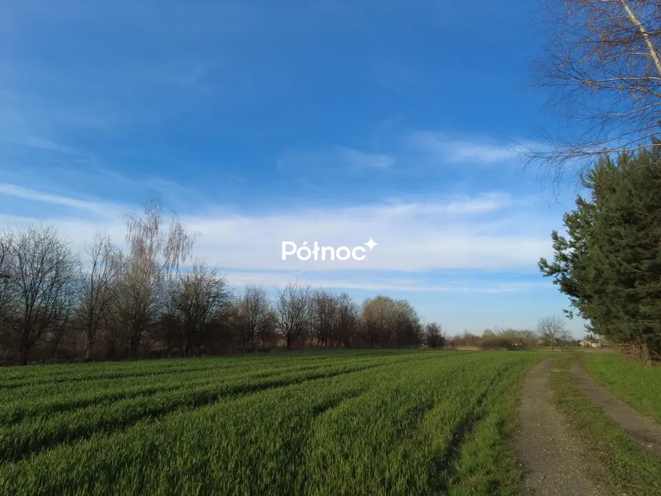 Działka inwestycyjna 2 100 m², Cikowice