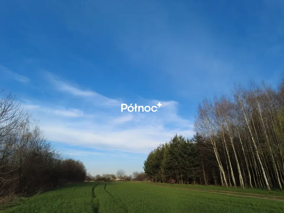 Zdjęcie 2