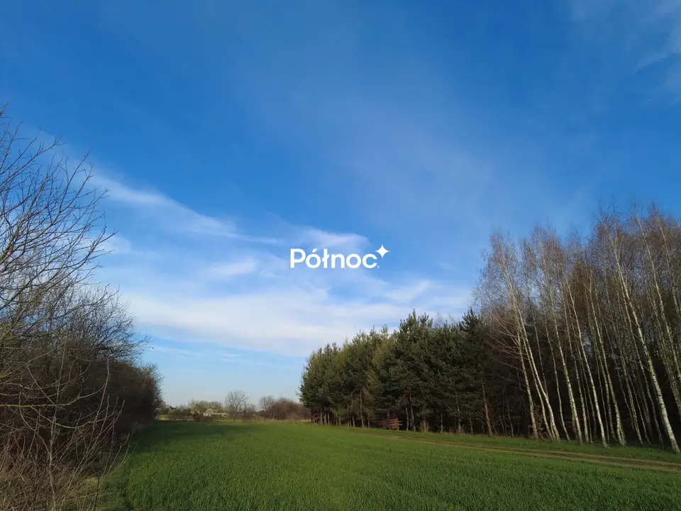 Zdjęcie 3
