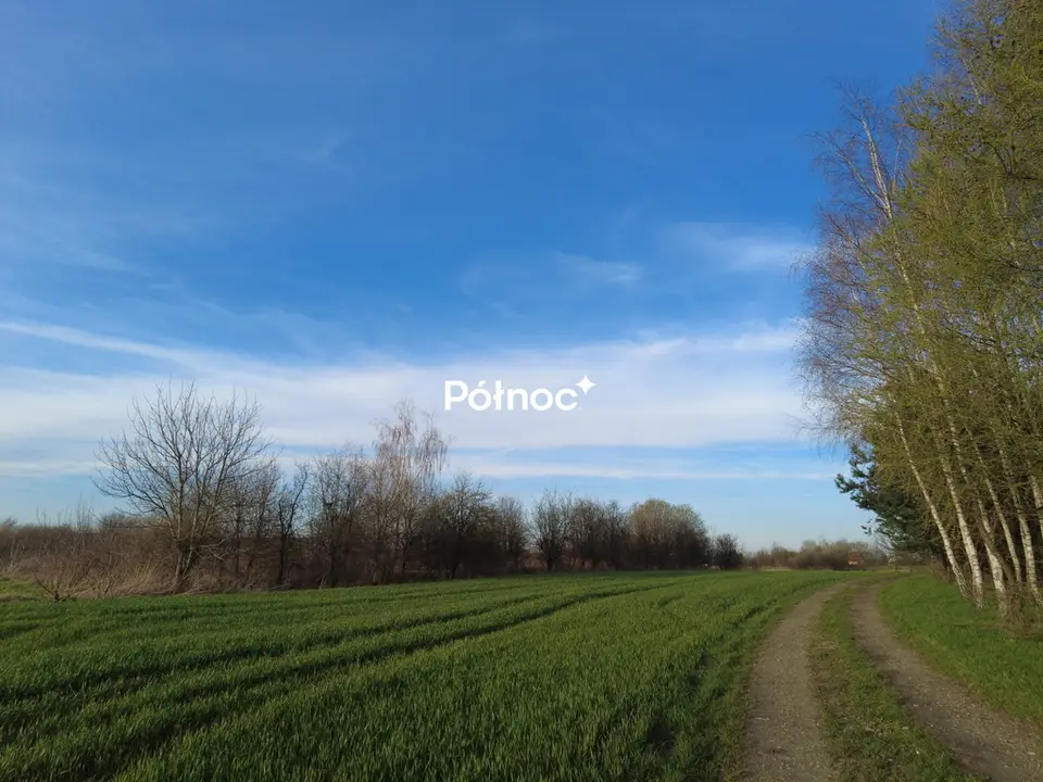Zdjęcie 4