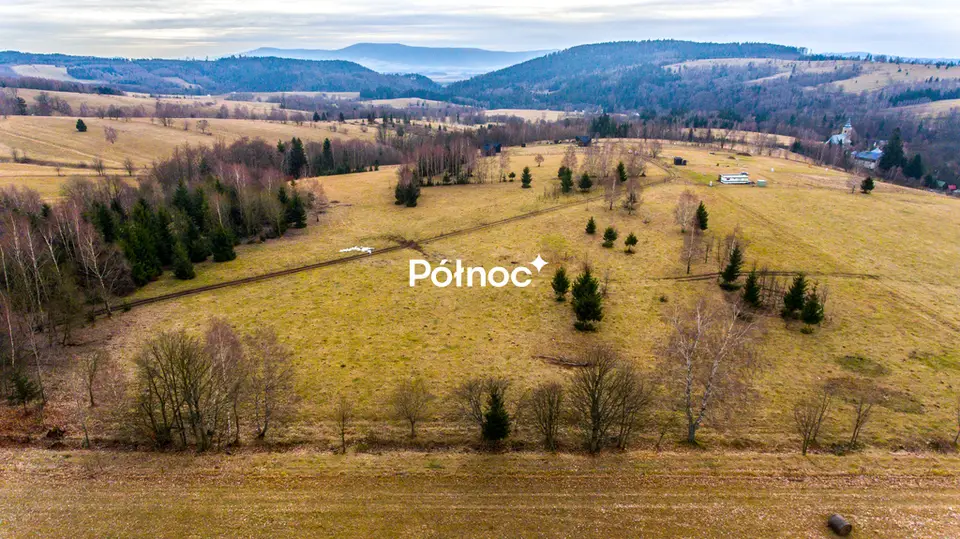Zdjęcie 2