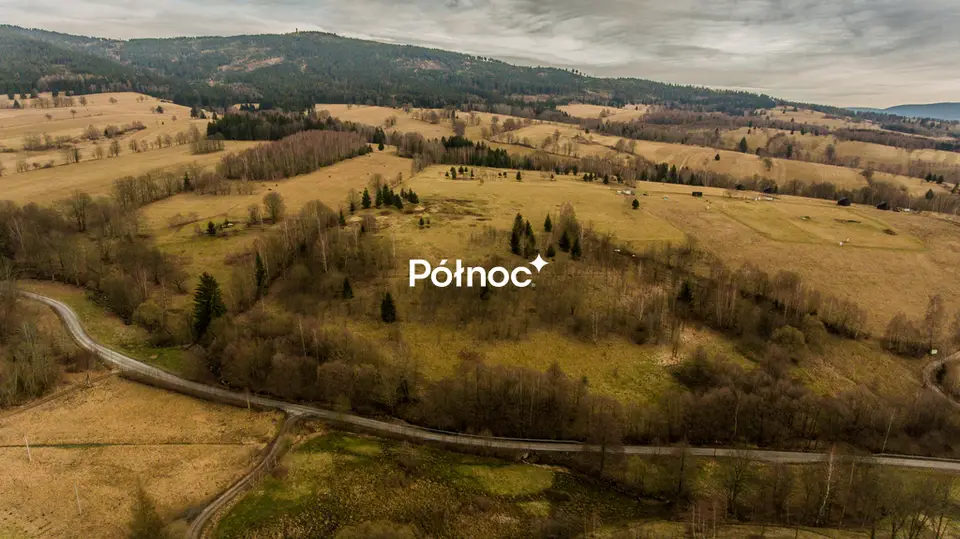 Zdjęcie 6