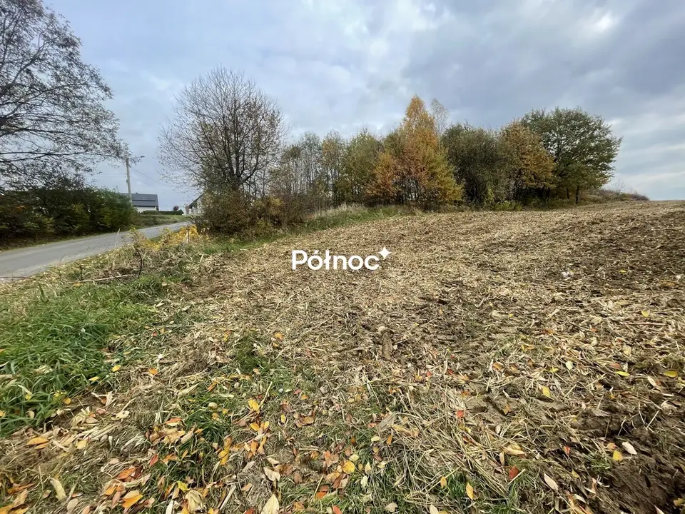 Zdjęcie 3