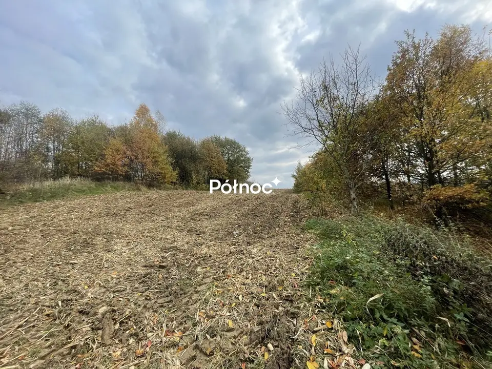Zdjęcie 4