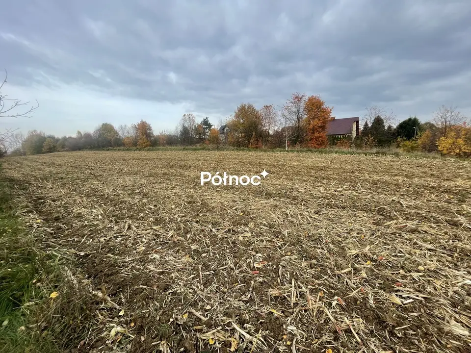 Zdjęcie 5