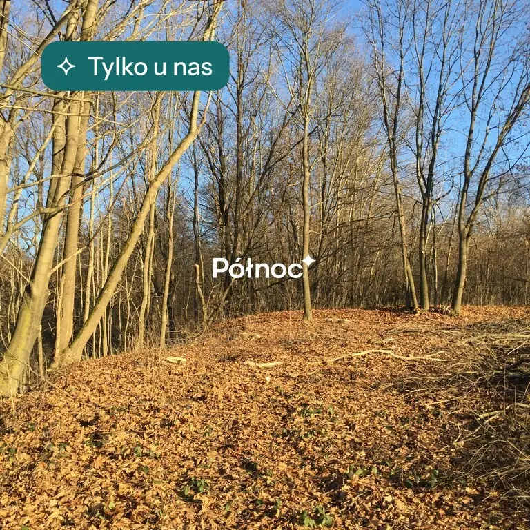 Działka budowlana 1 200 m², Leksandrowa