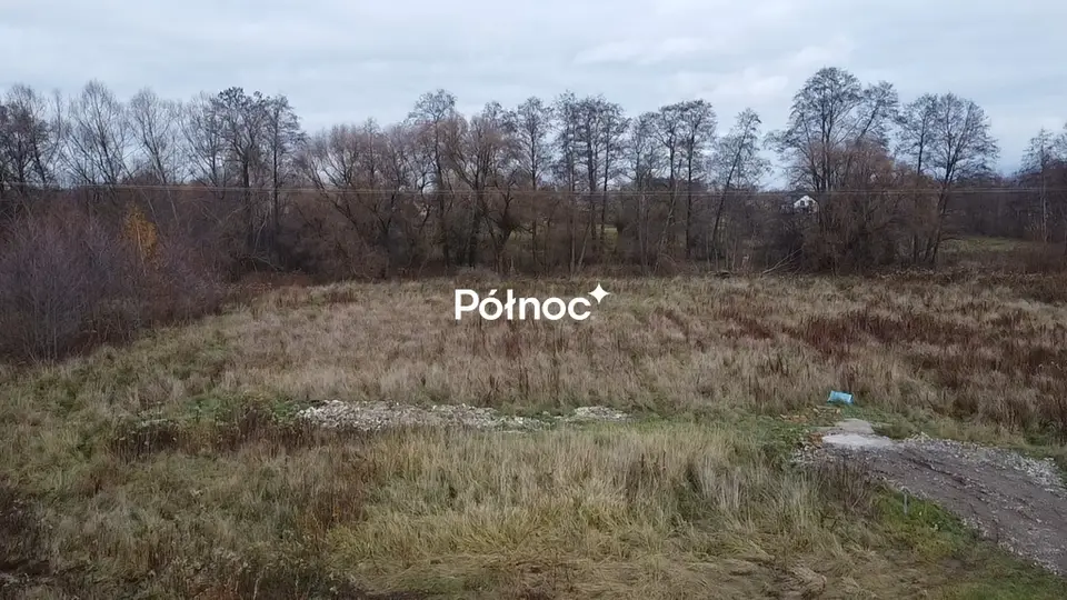 Zdjęcie 2