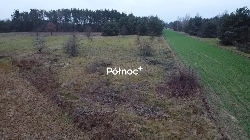 Zdjęcie 5