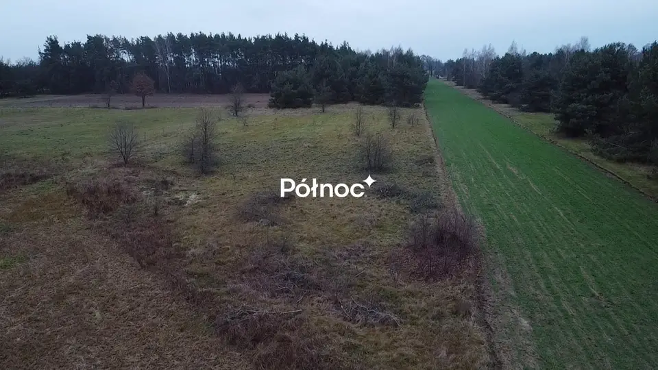 Zdjęcie 6
