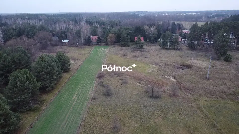 Zdjęcie 7
