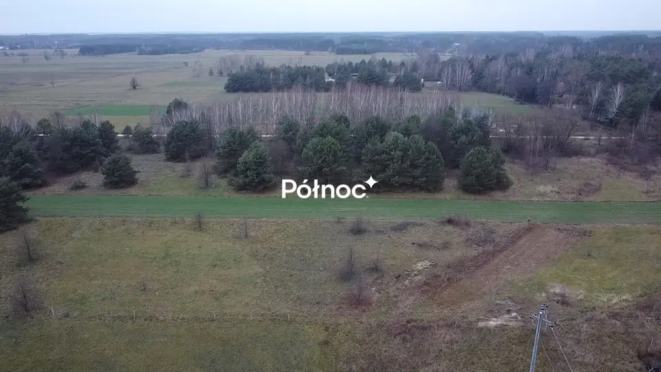 Zdjęcie 8