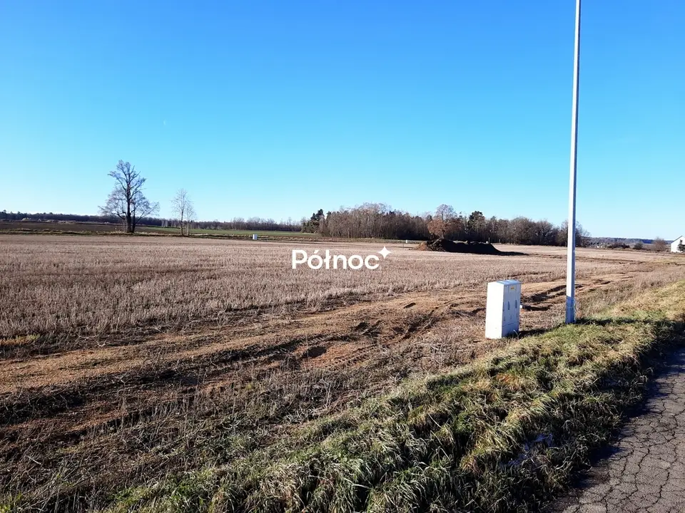 Zdjęcie 2