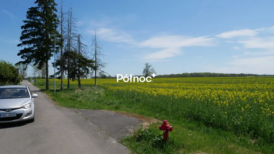 Zdjęcie 2