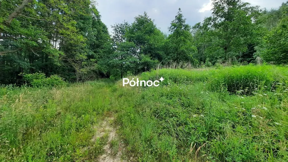 Zdjęcie 5