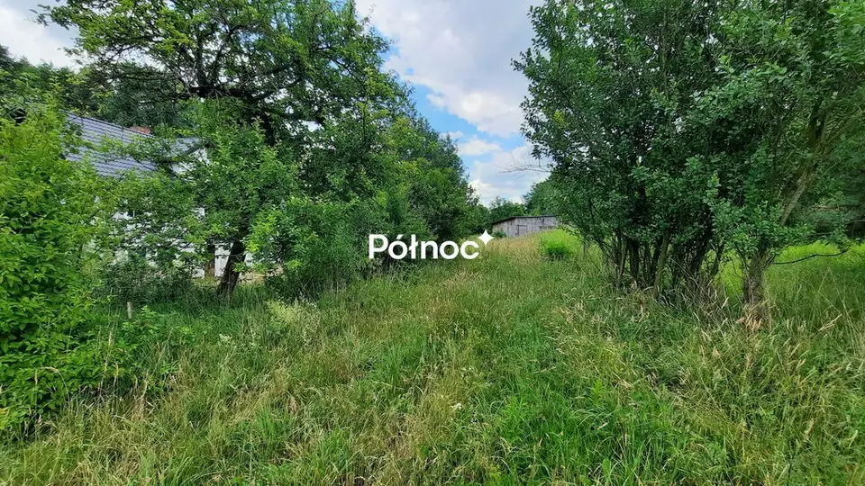 Zdjęcie 6